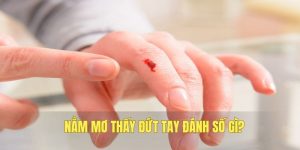 nằm mơ thấy đứt tay 789bet